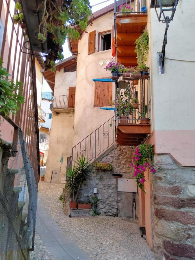 Casa Storta - Cycle Garage Con Biciclette Holiday home *